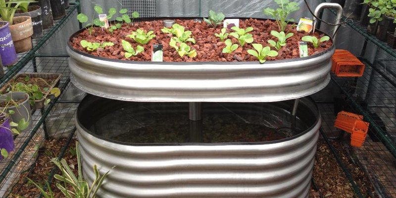 Aquaponics