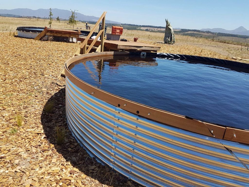 Plunge pools Designer Tanks